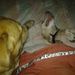 Profile Picture of Cheryl Sevigny (@cheryl7e) on Pinterest