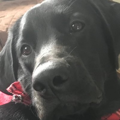 Profile Picture of Paul Horning (@Paul_Horning_) on Twitter