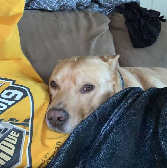 Angie Robinson schuringa - Poshmark Profile Picture of Angie Robinson schuringa (@ans4871) on Poshmark