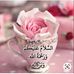 Profile Picture of Mohammed Rafiuddin (@mohammed.rafiuddin.528) on Facebook