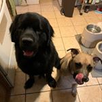 Profile Picture of Kim Wendell (@davidwende11) on Instagram