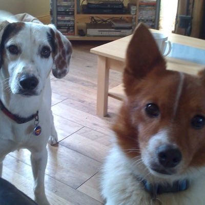 Profile Picture of Paula Loughlin (@PaulaLoughlin) on Twitter