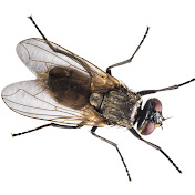 Profile Picture of David Clouse (@marginalized945) on Youtube