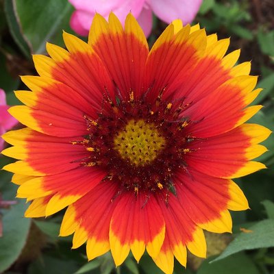 Profile Picture of Lifenglin (@lifenglin1) on Twitter