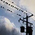 Profile Picture of Tehya Mackenzie (@tehya mackenzie) on Flickr