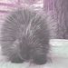 Profile Picture of Abraham Ray (@ray28350483) on Pinterest
