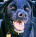 Profile Picture of Steve Brawley (@steve.brawley.182) on Facebook