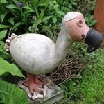 Profile Picture of Andrew Cornell (@cornell1056) on Instagram