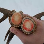 Profile Picture of Mark Eddy (@sheddy_mark) on Instagram