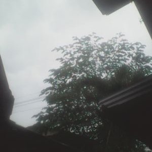 Profile Picture of Kodaj (@Kodaj3) on Twitter