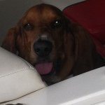 Profile Picture of Lori Manby Jagodzinski (@lmjags5678) on Instagram