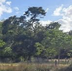 Profile Picture of Korben Randall (@korben.randall.1) on Facebook