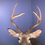 Profile Picture of Matthew Bates (@matthew_bates12) on Instagram