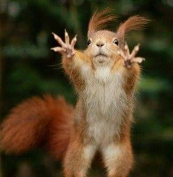 Profile Picture of Denise Hermanns (@denisehermanns) on Poshmark