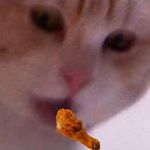 Profile Picture of Sweener (@john_needs_the_chicken) on Instagram