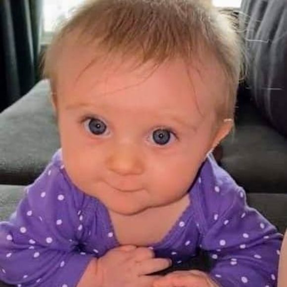 Mary Dissmore - Poshmark Profile Picture of Mary Dissmore (@ddog48507) on Poshmark