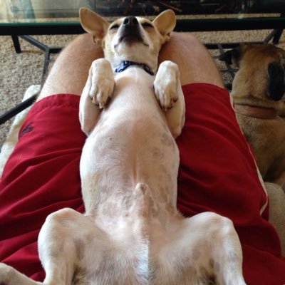 Profile Picture of Scott Neuburger (@Scotty_Burg) on Twitter