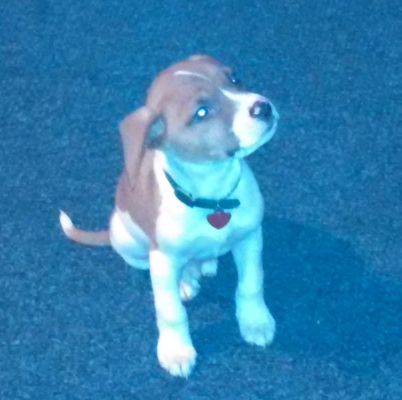 Profile Picture of Michael Crandall (@michaelstmchl) on Poshmark