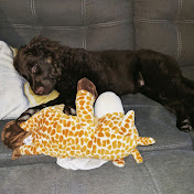 Profile Picture of Kendra Solomon (@kendrasolomon4657) on Youtube