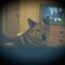 Profile Picture of Al Stanfield (@al.stanfield.940) on Facebook
