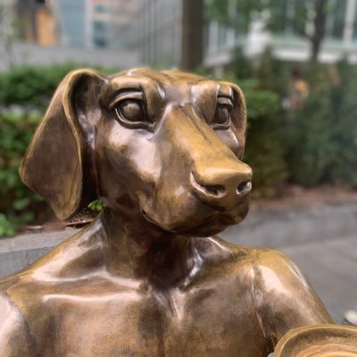 Profile Picture of Paul Sylva  💙 🇪🇺 🇬🇧 🇳🇿 (@paulsylva) on Twitter