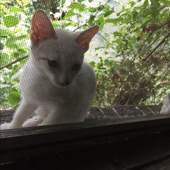 Profile Picture of Sauceda Sauceda (@belrima) on Poshmark