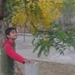 Profile Picture of Ramakrishnan Bala (@ramakrishnanb) on Instagram