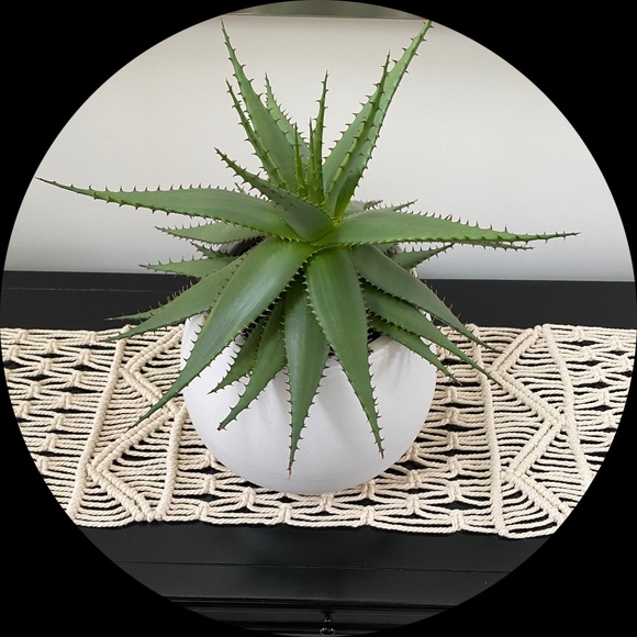 Profile Picture of Anne Gensemer (@abp22) on Poshmark