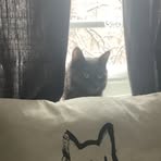 Melanie Migliaccio - Facebook Profile Picture of Melanie Migliaccio (@melanie.migliaccio.395) on Facebook