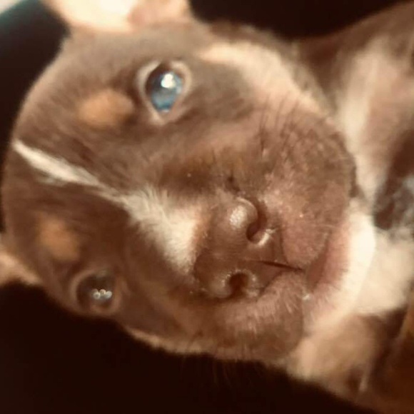 Profile Picture of Beth Bailey (@3littlebeez) on Poshmark