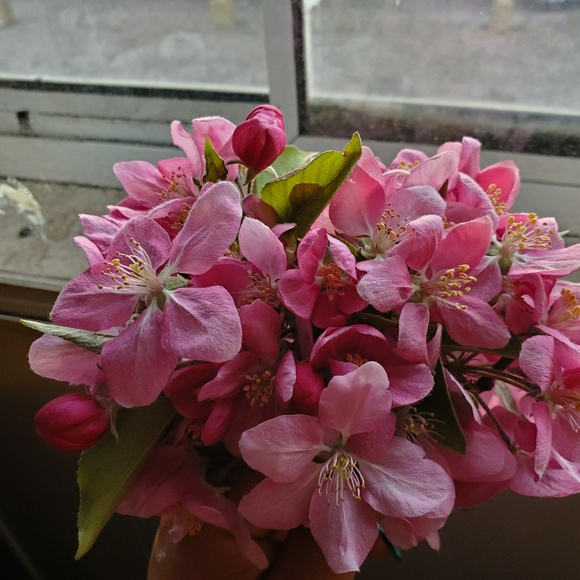 Profile Picture of Marisol Apolonio (@marisolapolo199) on Poshmark