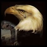 Profile Picture of Tony Savino (@savino.tony) on Instagram