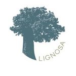 Profile Picture of リグノーサカフェ (@lignosa_cafe) on Instagram
