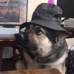 Profile Picture of Robert Seymour (@Robert-Seymour) on Facebook