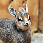 Profile Picture of Andrew Varga (@andrewvarga00) on Instagram