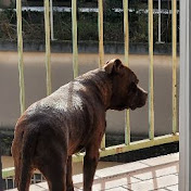 Profile Picture of Audrey Robert (@quenelle26ify) on Youtube