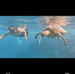 Profile Picture of Cindy Malone (@cindy.malone.3576) on Facebook