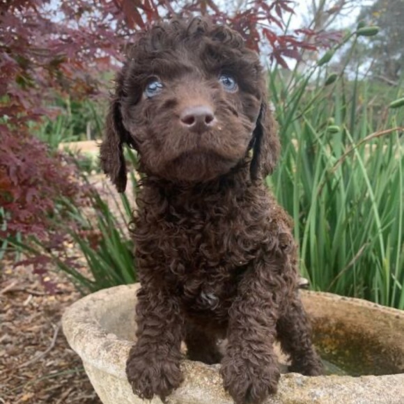 Profile Picture of Jodie Loibl (@jodstar85) on Poshmark