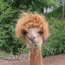 Profile Picture of Hans Meier (@hansmeier2015) on Twitter