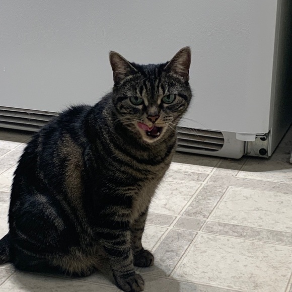 Profile Picture of Mel Zaback (@melzaback) on Poshmark