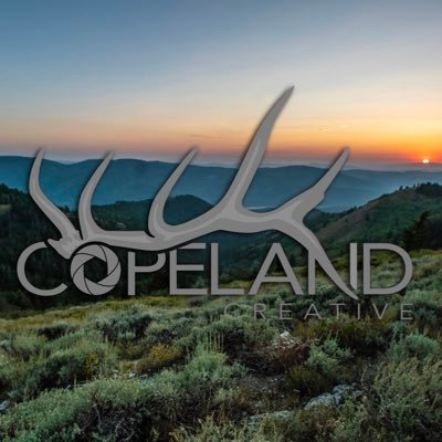 Profile Picture of Caleb Copeland (@copecreative1) on Twitter