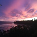 Profile Picture of Céline Proulx (@celine.proulx55) on Instagram