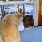 Profile Picture of monique harrison (@monique2660vd) on Instagram