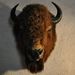 Profile Picture of Karl Epps (@kepps500) on Pinterest