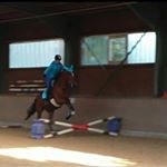 Profile Picture of Lisa Scherban (@springflummi_leo) on Instagram