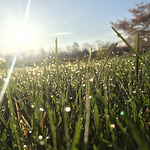 Profile Picture of Andrew Ryu (@ryu.nd_image) on Flickr