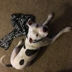 Profile Picture of Gretchen Cain (@glcc_1971) on Instagram