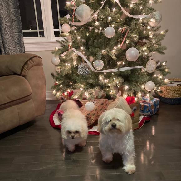 Jacquelyn Suehsschlof - Poshmark Profile Picture of Jacquelyn Suehsschlof (@jacquelynsuehss) on Poshmark