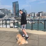 Profile Picture of Justin Blakeley (@meetjustin_) on Instagram