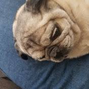 Profile Picture of Jacob Backer (@jacobbacker1793) on Youtube